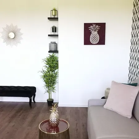 Apartment Le Gourmand Lourdes